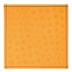 Apricot Longchamp La Medaille Women's Scarf | 75230-YXKL