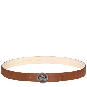 Brown Longchamp Box-trot Men's Belts | 96028-ZNQH