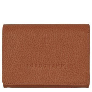 Brown Longchamp Le Foulonne Men's Coin Purses | 52834-AGXP