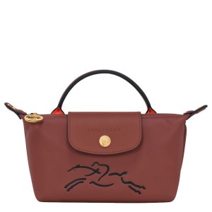 Brown / Gold Longchamp Le Pliage Xtra Women's Pouches | 35189-GSTB