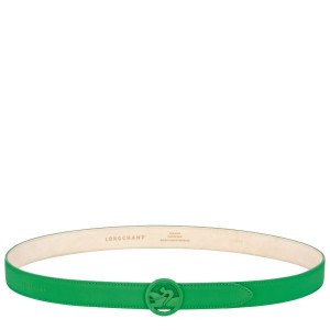 Green Longchamp Box-trot Women's Belts | 53610-CFIZ