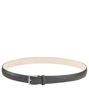 Grey Longchamp Vegetal Men's Belts | 15879-YWNG