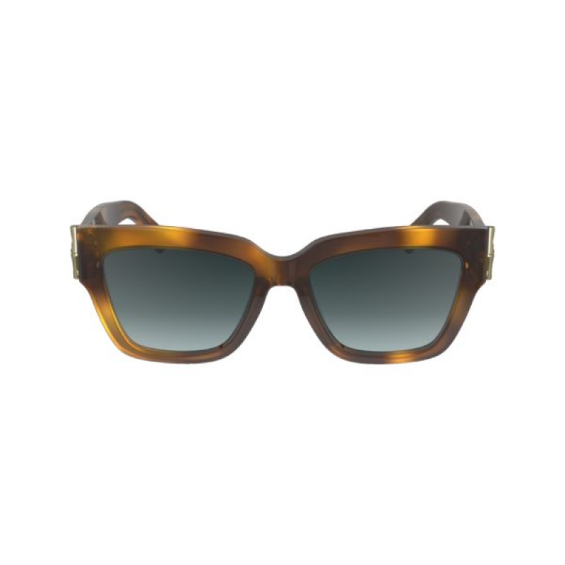 Brown Longchamp Acetate Women's Sunglasses | 20187-VQOU