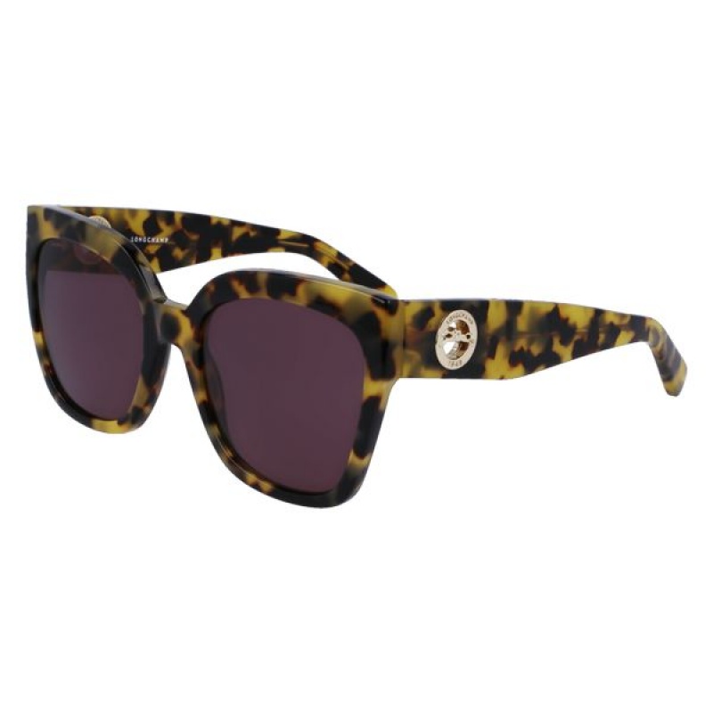 Brown Longchamp Acetate Women's Sunglasses | 20495-EAJK