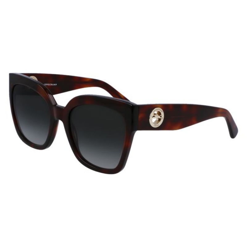 Brown Longchamp Acetate Women's Sunglasses | 56429-DFKY