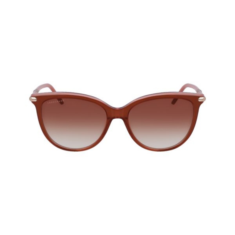 Brown Rose Longchamp Acetate Women\'s Sunglasses | 90357-WEBN